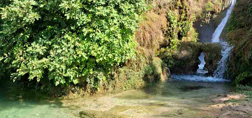 Bregava
