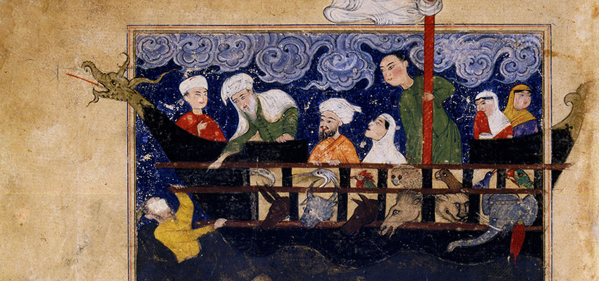 You are currently viewing Životinje u islamskom vidiku (ili meso naše svagdašnje)